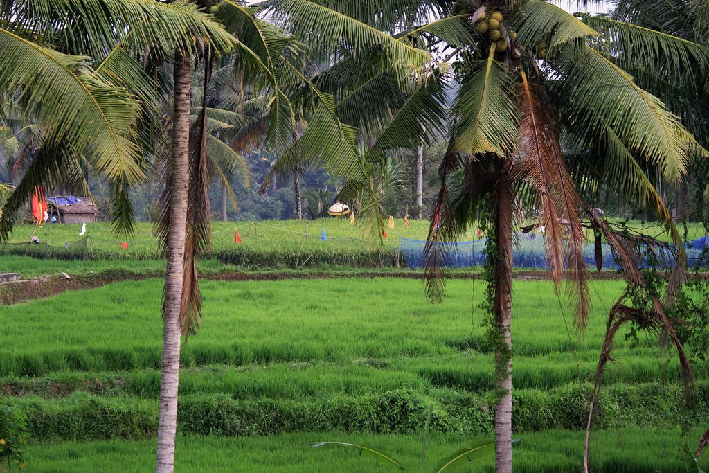 Puri Padma Hotel Ubud Dış mekan fotoğraf