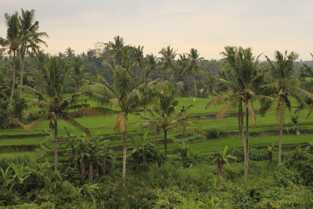 Puri Padma Hotel Ubud Dış mekan fotoğraf