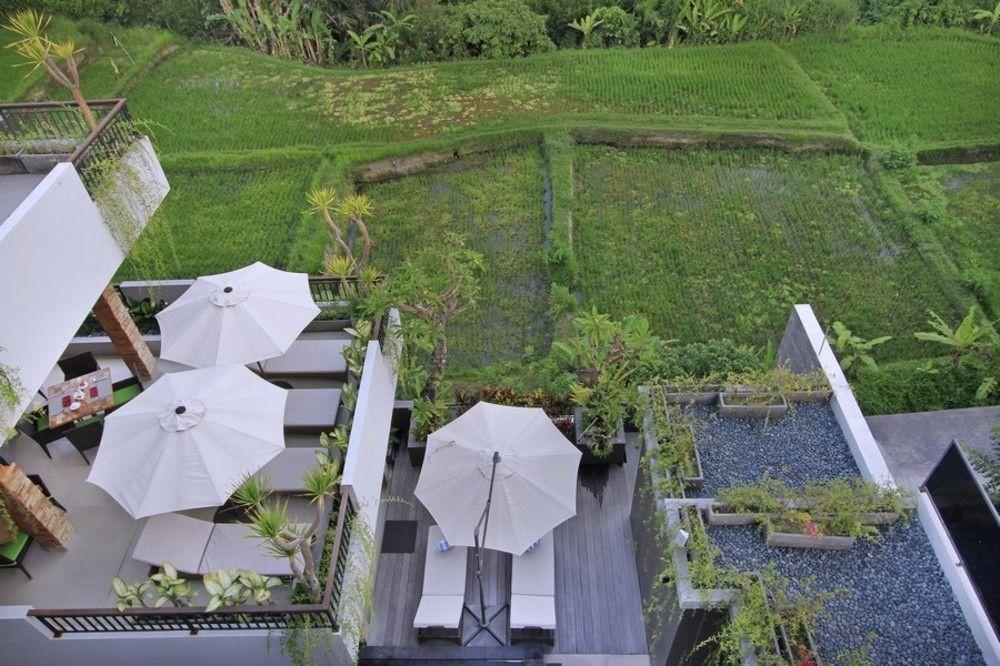 Puri Padma Hotel Ubud Dış mekan fotoğraf