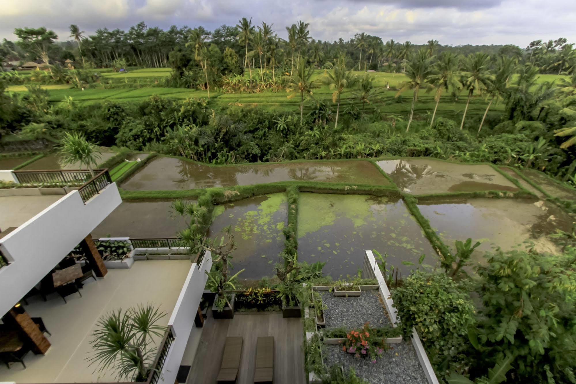 Puri Padma Hotel Ubud Dış mekan fotoğraf