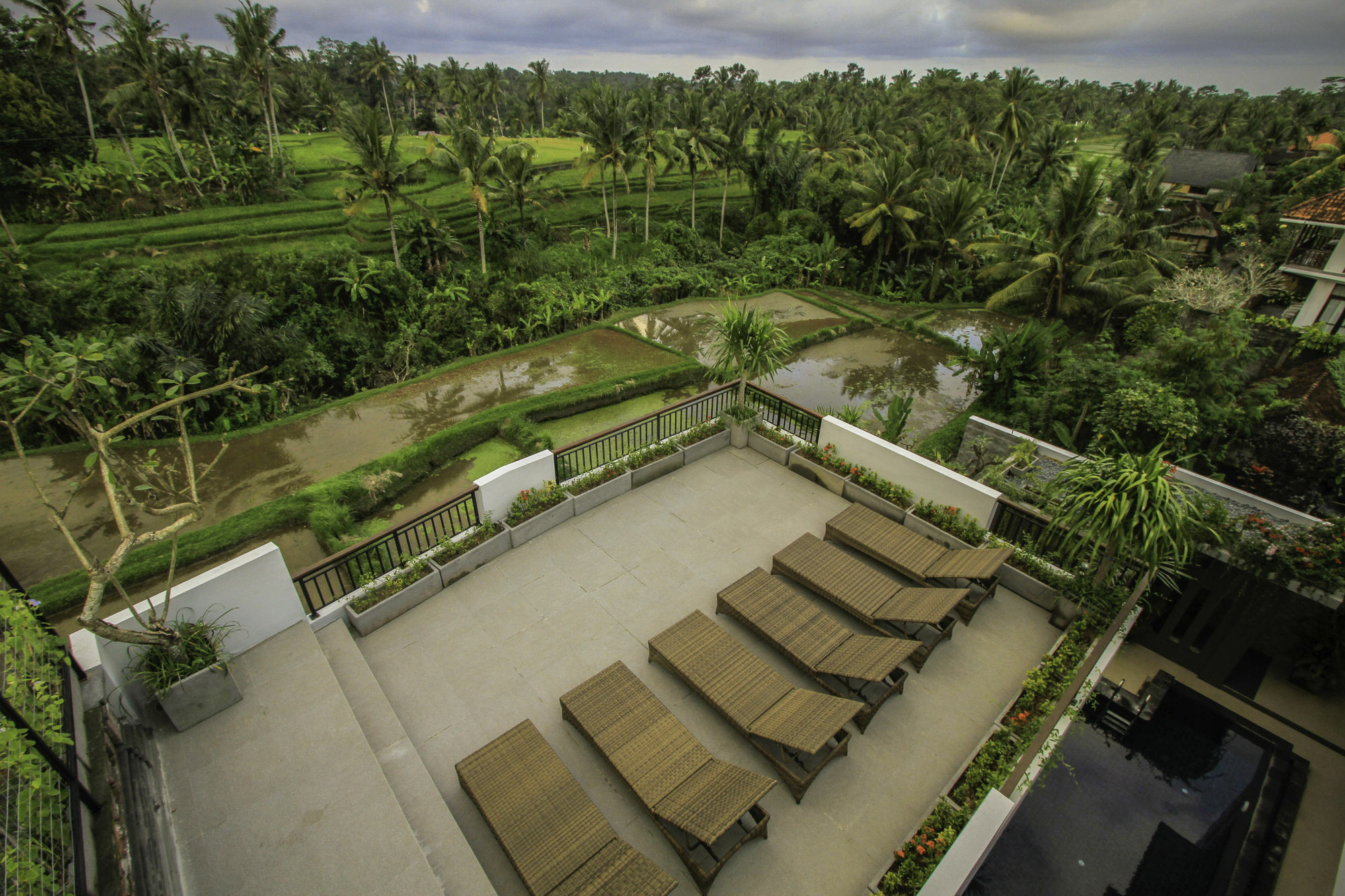 Puri Padma Hotel Ubud Dış mekan fotoğraf